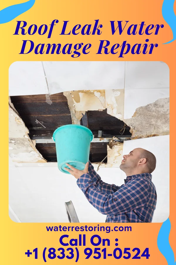 Roof Leak Water Damage Repair in Rome, GA